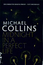 Midnight in a Perfect Life