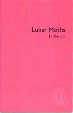 Lunar Moths Jo Haslam
