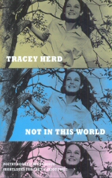 Not In This World Tracey Herd