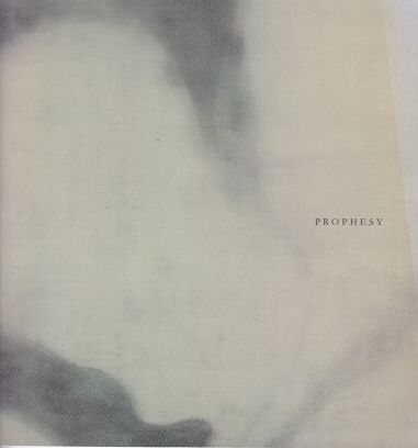 Prophesy Amanda Williams Lucas