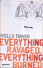 Everything Ravaged, Everything Burned Wells Tower