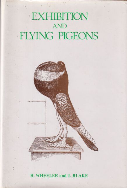 Exhibition and Flying Pigeons H. Wheeler